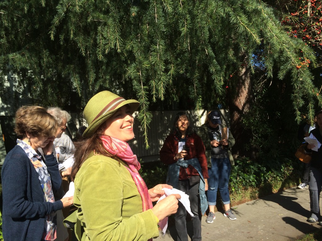 Certified arborist Ellyn Shea leading a Downtown Palo Alto Tree Walk