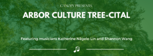 Arbor Culture Tree-cital