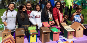 Birdhouses made by Foundation for College Education