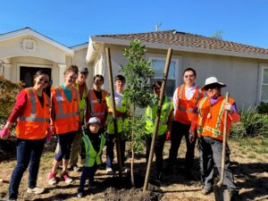 Midtown neighborhood tree planting October 5, 2019