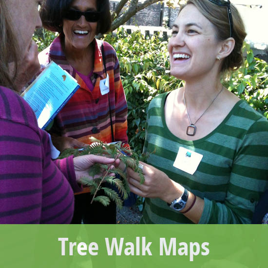 550x550 - Tree Walk Maps