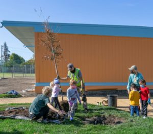Children helping adult volunteers plant a tree