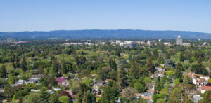 An arial view of Palo Alto's trees and buildings