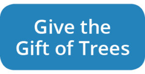 Give the Gift of Trees