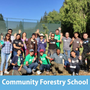 Community Forestry School
