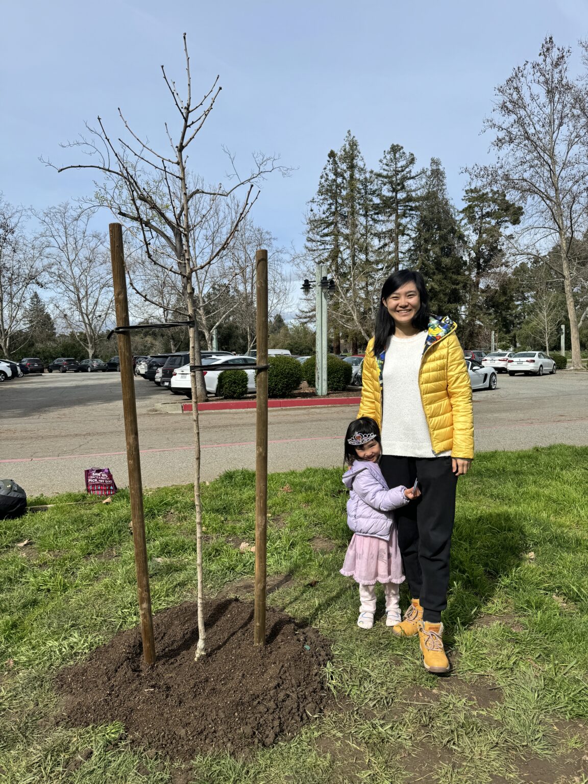 Canopy joins communities in celebrating trees for California Arbor Week