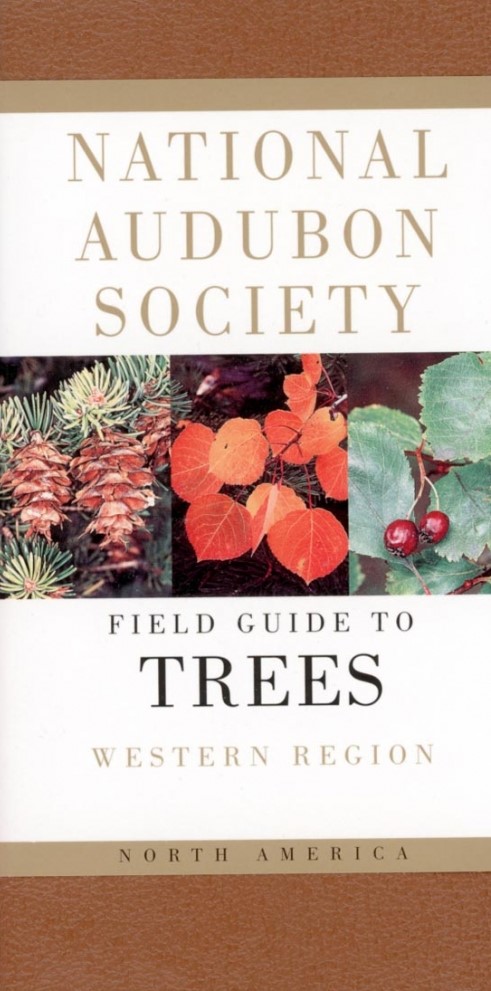 Book cover of the National Audubon Society's Field Guide to Trees