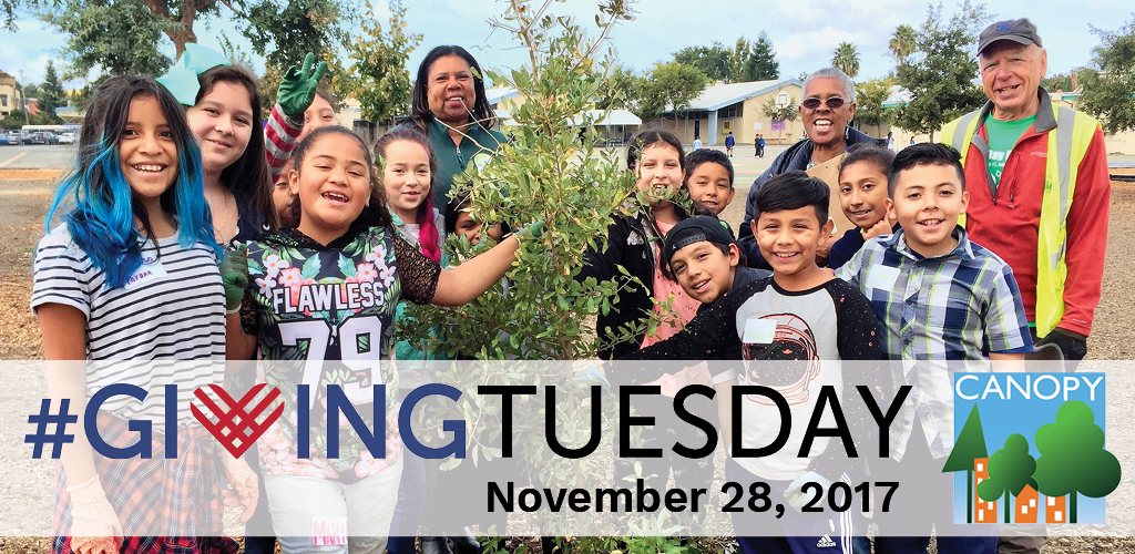 Giving Tuesday is November 28