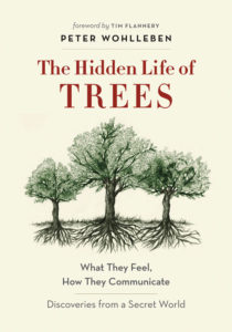 hidden-life-of-trees-book