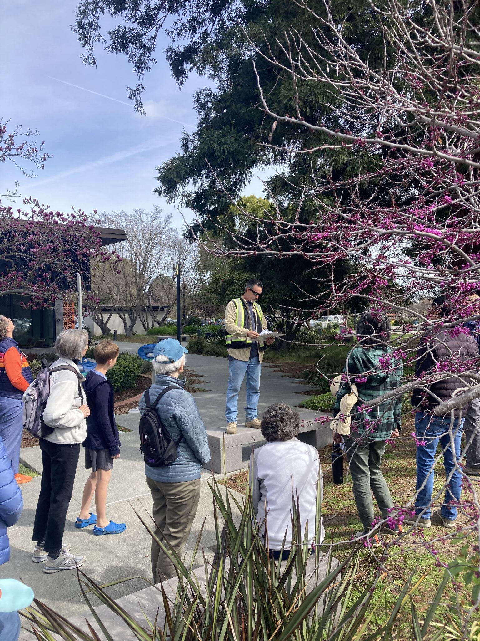 Canopy joins communities in celebrating trees for California Arbor Week