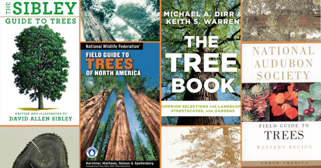 National Wildlife Federation Field Guide to Trees of North America