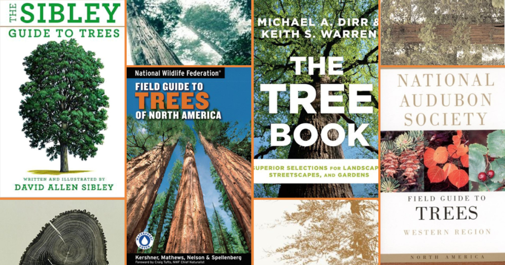collage of tree-themed book covers