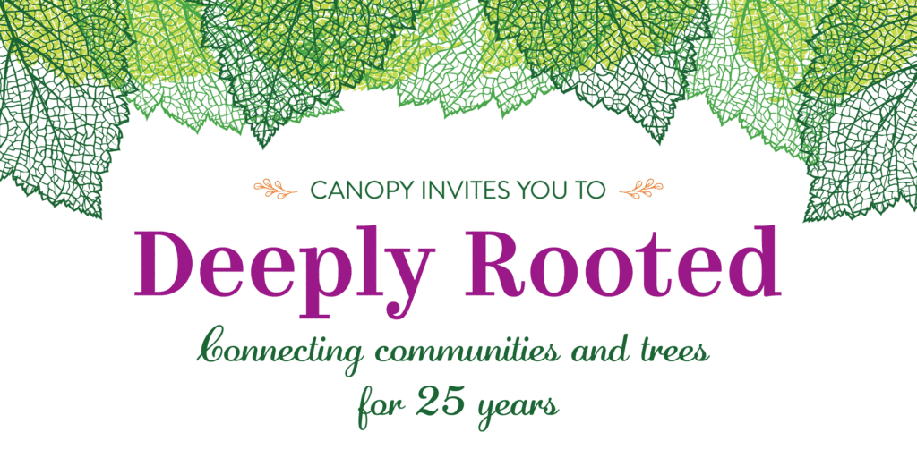 Deeply Rooted: Connecting communities and trees for 25 years