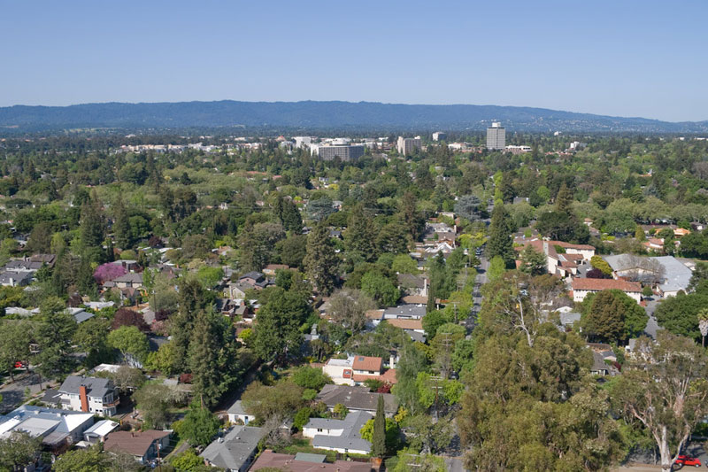 Palo Alto Urban Forest