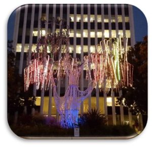 City of Palo Alto decorated tree