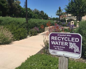 Save our Water and our Trees - Canopy : Canopy
