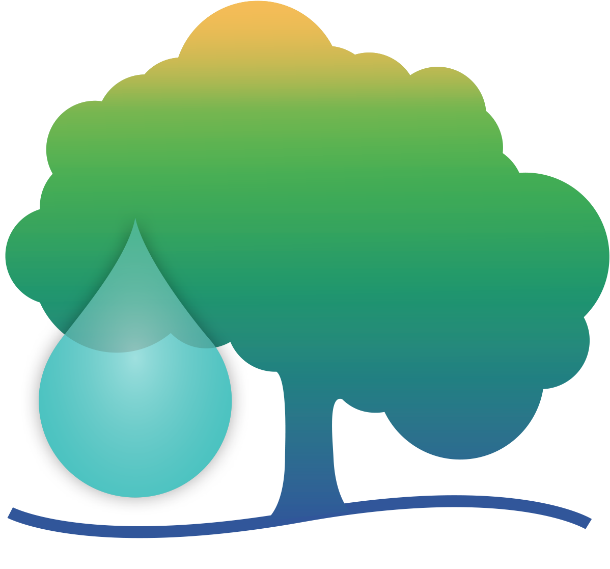 4 Tips to Save Water and Save Trees - Canopy : Canopy