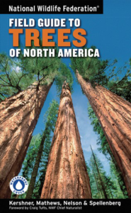 Three tall redwoods against a blue sky on the cover of the National Wildlife Federation Field Guide to Trees of North America.