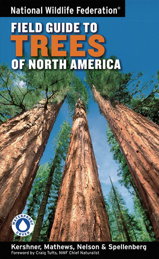 Three tall redwoods against a blue sky on the cover of the National Wildlife Federation Field Guide to Trees of North America.