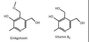Comparison of ginkgotoxin and vitamin B6 structures.