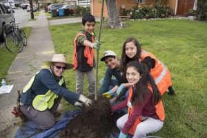 group of volunteers preparing to plant a tree