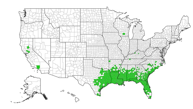 Chinese tallow distribution map of US