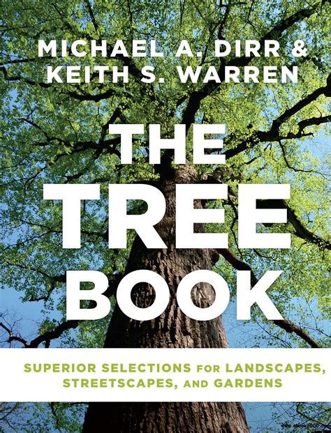 A tall tree on the book cover of National Audubon Society: Field Guide to Trees, Western Region
